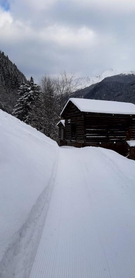 Apart Bergglueck Incl Sommerkarte Зее Екстериор снимка