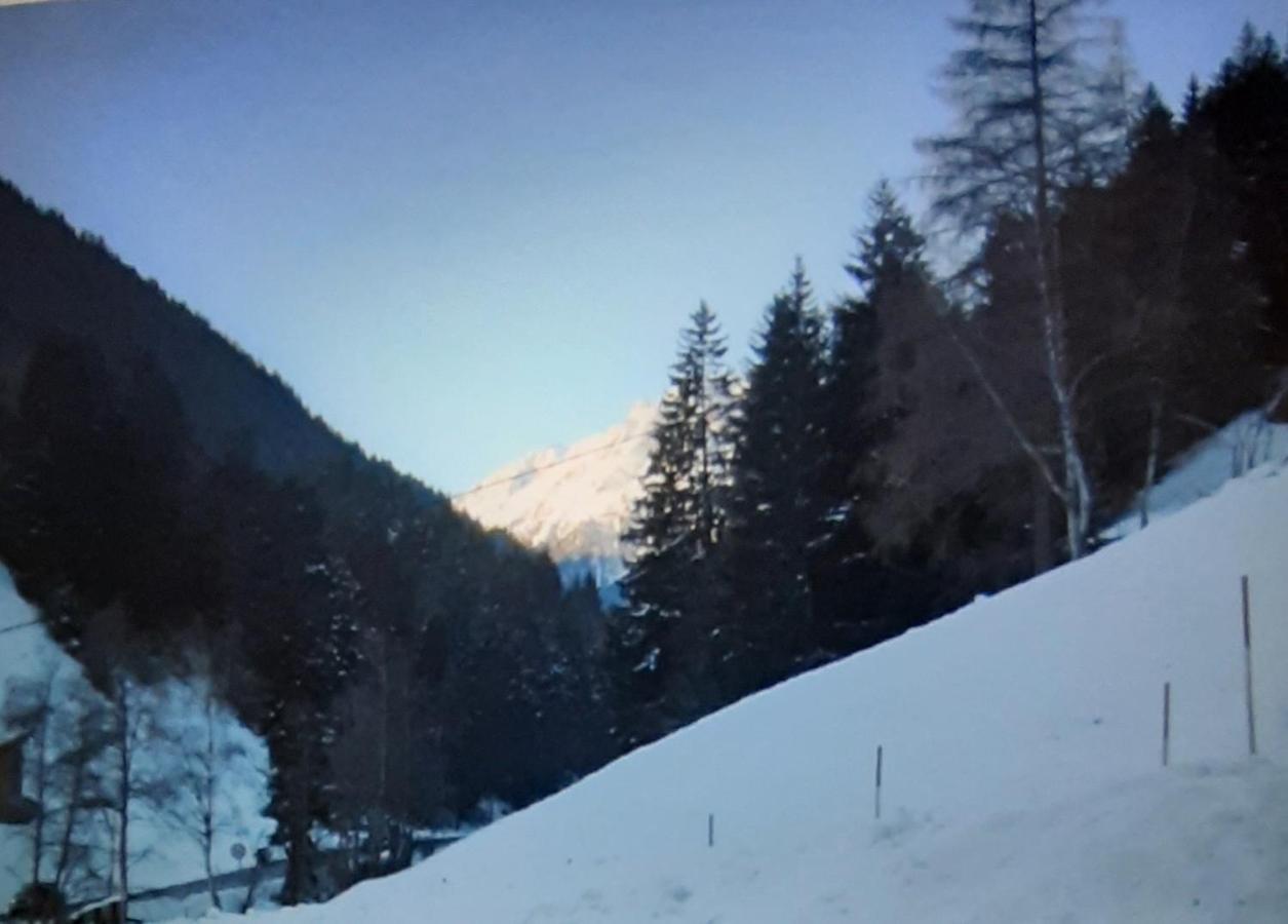 Apart Bergglueck Incl Sommerkarte Зее Екстериор снимка