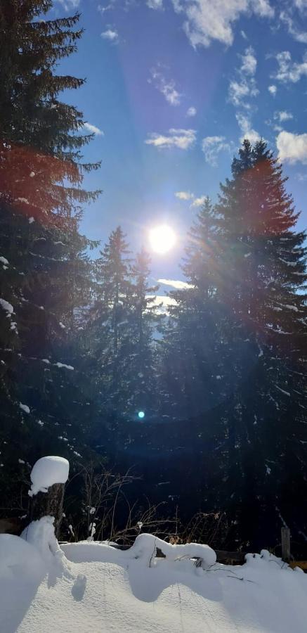 Apart Bergglueck Incl Sommerkarte Зее Екстериор снимка